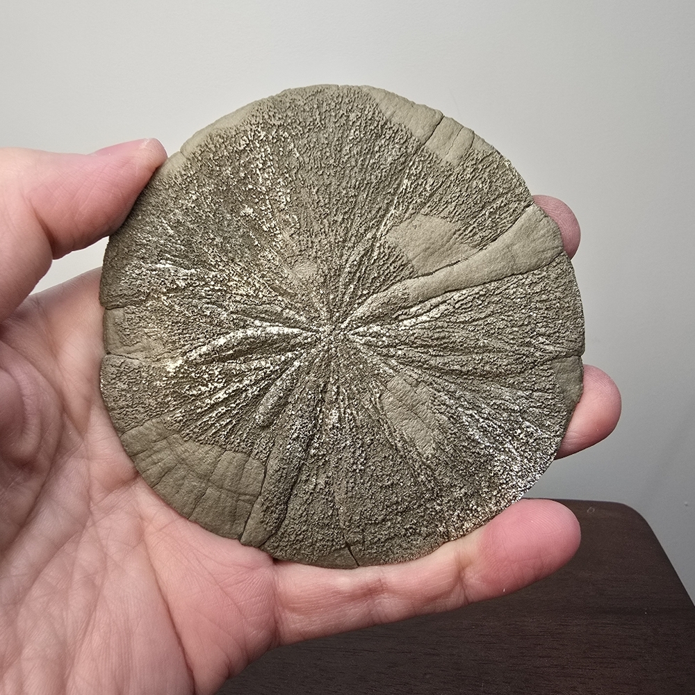 Pyrite Sun Crystal 3.8 inches - Picture 10 of 11